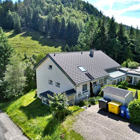 Fewo Schwarzwaldblick, 3 Schlafzimmer Todtnau-Muggenbrunn, Liftverbund Feldberg Zewnętrze zdjęcie