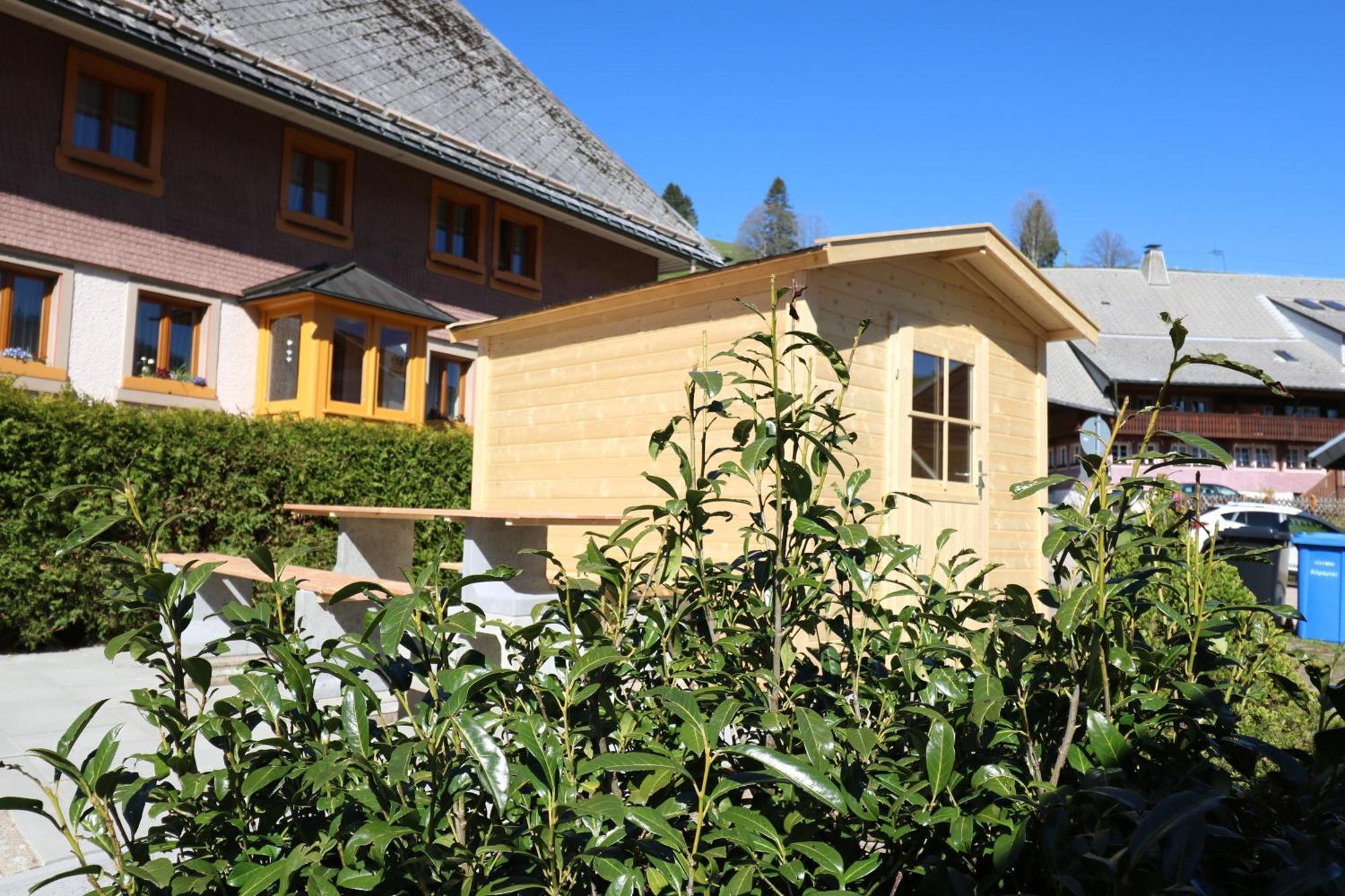 Fewo Schwarzwaldblick, 3 Schlafzimmer Todtnau-Muggenbrunn, Liftverbund Feldberg Zewnętrze zdjęcie