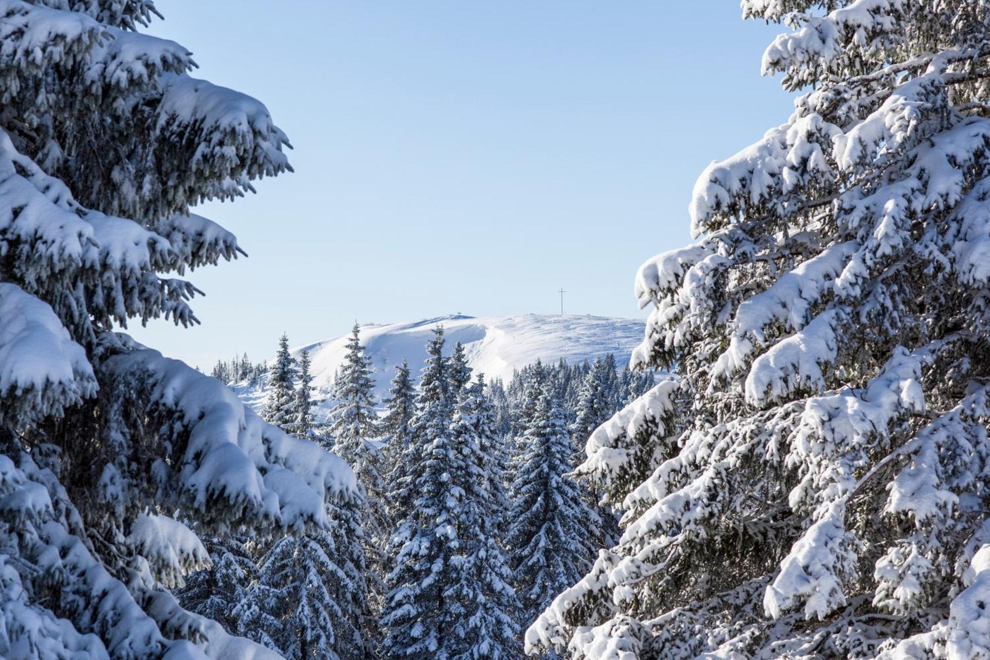 Fewo Schwarzwaldblick, 3 Schlafzimmer Todtnau-Muggenbrunn, Liftverbund Feldberg Zewnętrze zdjęcie