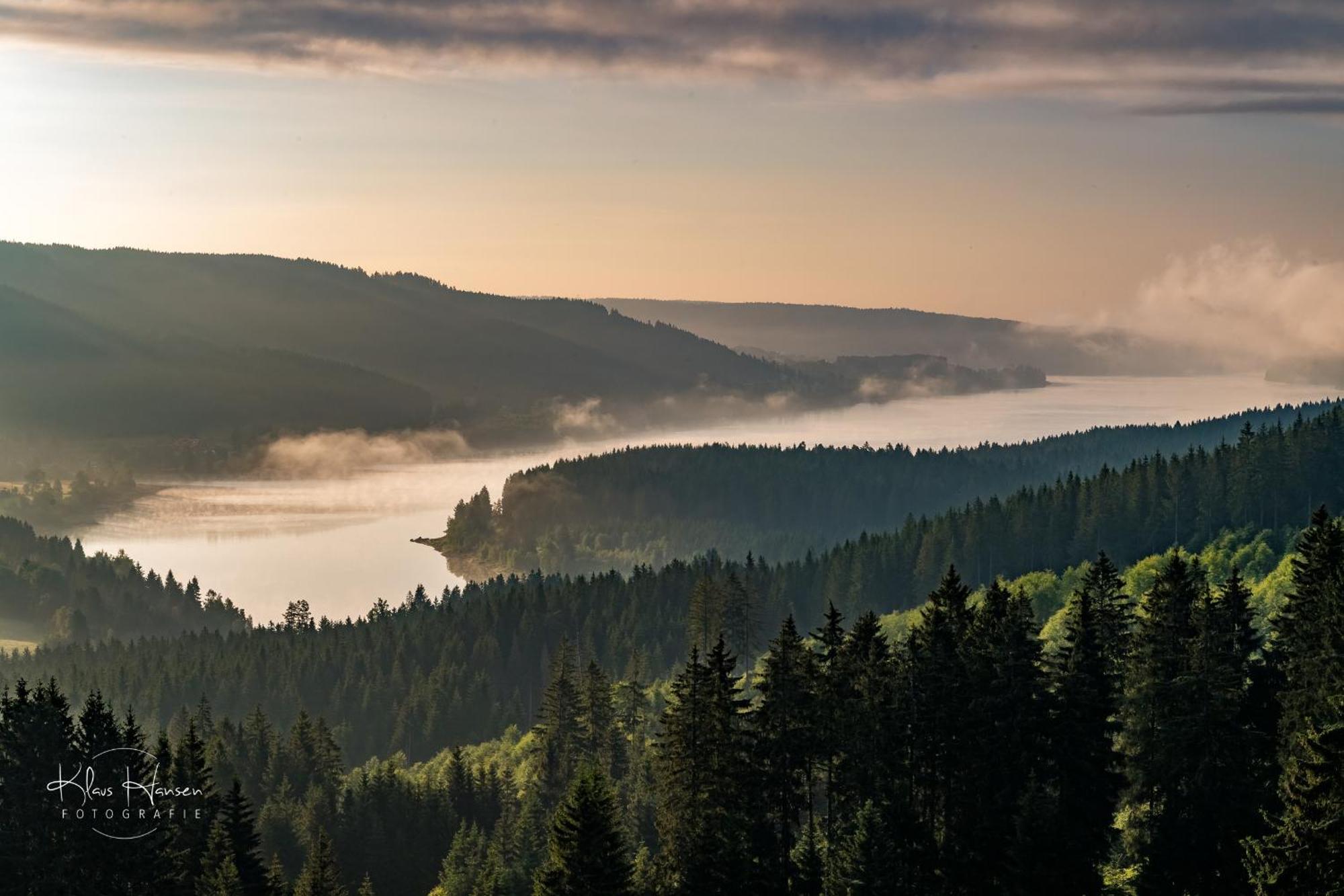 Fewo Schwarzwaldblick, 3 Schlafzimmer Todtnau-Muggenbrunn, Liftverbund Feldberg Zewnętrze zdjęcie